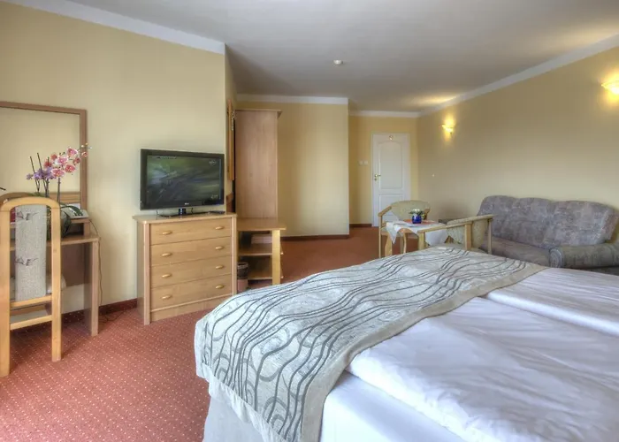 Hotel Panoramic-oscar